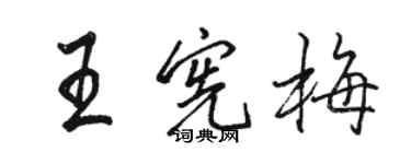 駱恆光王憲梅行書個性簽名怎么寫