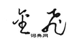 駱恆光金飛草書個性簽名怎么寫