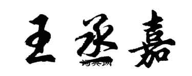 胡問遂王丞嘉行書個性簽名怎么寫