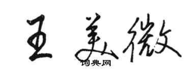 駱恆光王美微行書個性簽名怎么寫