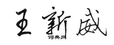駱恆光王新威行書個性簽名怎么寫