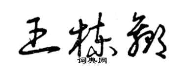 曾慶福王棟贏草書個性簽名怎么寫