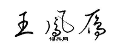 梁錦英王鳳雁草書個性簽名怎么寫