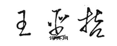 駱恆光王聖哲草書個性簽名怎么寫