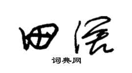 朱錫榮田闊草書個性簽名怎么寫