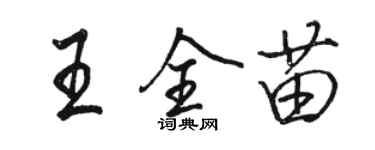 駱恆光王全苗行書個性簽名怎么寫