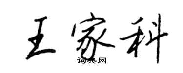王正良王家科行書個性簽名怎么寫
