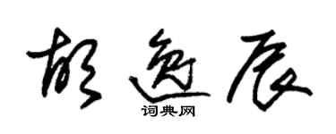 朱錫榮胡逸辰草書個性簽名怎么寫