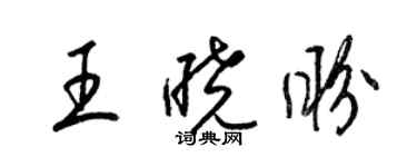 梁錦英王曉盼草書個性簽名怎么寫