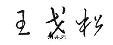 駱恆光王戈松草書個性簽名怎么寫