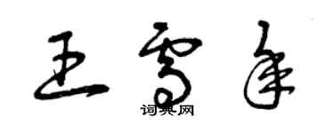 曾慶福王雪年草書個性簽名怎么寫