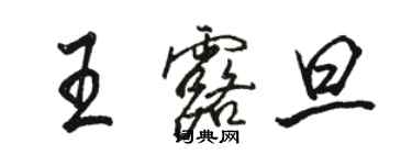 駱恆光王露旦行書個性簽名怎么寫