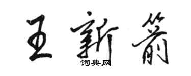 駱恆光王新箭行書個性簽名怎么寫