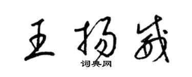 梁錦英王揚威草書個性簽名怎么寫