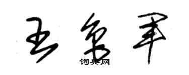 朱錫榮王魯軍草書個性簽名怎么寫