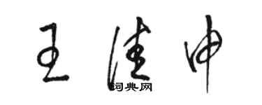 駱恆光王佳申草書個性簽名怎么寫