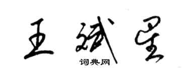 梁錦英王斌星草書個性簽名怎么寫