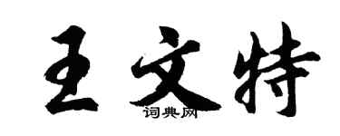 胡問遂王文特行書個性簽名怎么寫