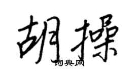 王正良胡操行書個性簽名怎么寫