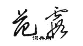 駱恆光范霞草書個性簽名怎么寫