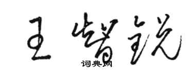 駱恆光王智銳草書個性簽名怎么寫