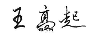 駱恆光王高起行書個性簽名怎么寫