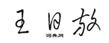 駱恆光王日放草書個性簽名怎么寫