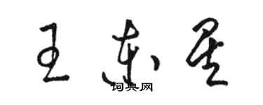 駱恆光王東星草書個性簽名怎么寫