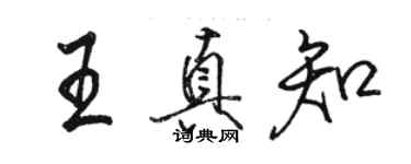 駱恆光王真知行書個性簽名怎么寫