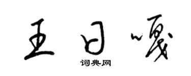 梁錦英王日嘎草書個性簽名怎么寫