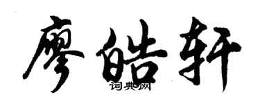 胡問遂廖皓軒行書個性簽名怎么寫