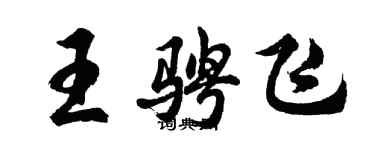 胡問遂王騁飛行書個性簽名怎么寫