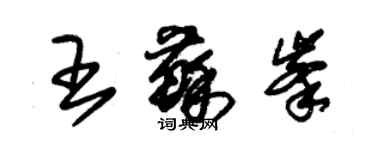 朱錫榮王蘇峰草書個性簽名怎么寫