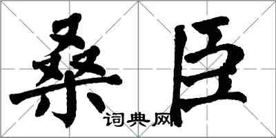 翁闓運桑臣楷書怎么寫