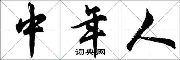 胡問遂中年人行書怎么寫