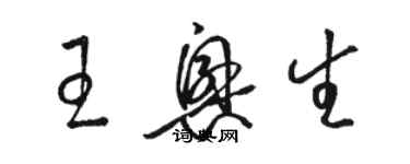 駱恆光王興生草書個性簽名怎么寫