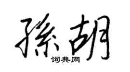 王正良孫胡行書個性簽名怎么寫