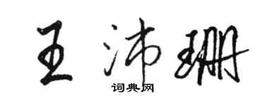 駱恆光王沛珊行書個性簽名怎么寫