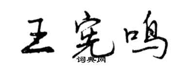 曾慶福王憲鳴行書個性簽名怎么寫
