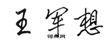 駱恆光王軍想行書個性簽名怎么寫