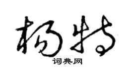 曾慶福楊特草書個性簽名怎么寫
