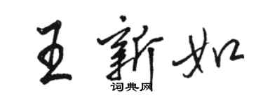 駱恆光王新如行書個性簽名怎么寫