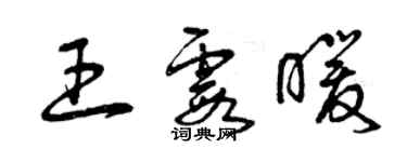 曾慶福王霞暖草書個性簽名怎么寫