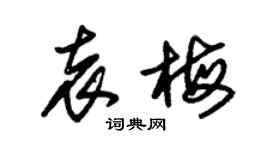 朱錫榮袁梅草書個性簽名怎么寫