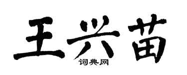翁闓運王興苗楷書個性簽名怎么寫