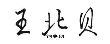 駱恆光王北貝行書個性簽名怎么寫