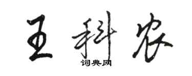 駱恆光王科農行書個性簽名怎么寫