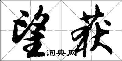 胡問遂望獲行書怎么寫