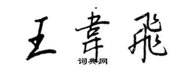 王正良王韋飛行書個性簽名怎么寫