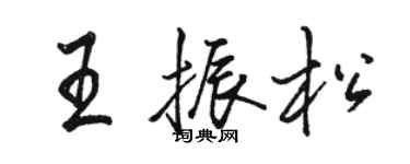 駱恆光王振松行書個性簽名怎么寫